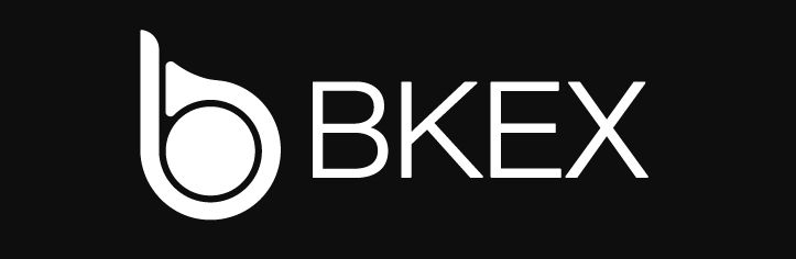f:id:Yuki_BTC:20180614031619p:plain BKKトークンのロゴマーク